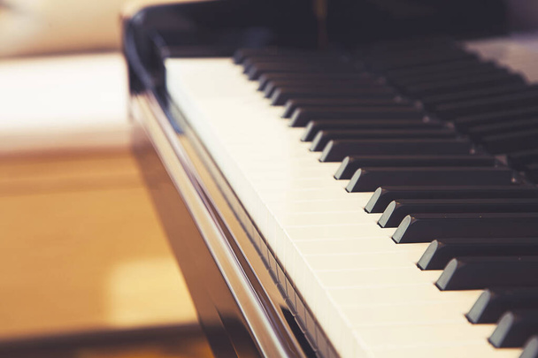 Piano keys close-up. Ebony and Ivory colored piano keys. - Photo, Image