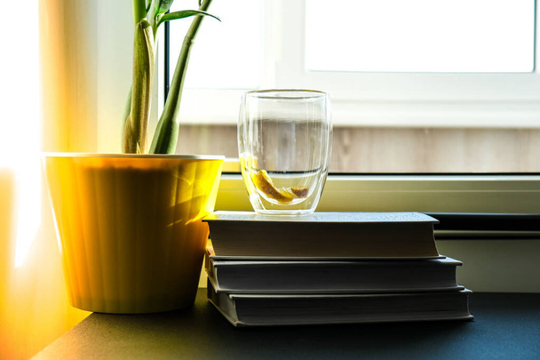 Een kopje warme thee met citroen staat op de vensterbank op een stapel boeken, stoom komt uit de beker. Gele bloempot met groene plant. Zonnestraal. Gezellige Hygge huis op vensterbank - Foto, afbeelding