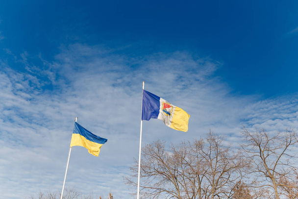 Drapeau jaune et bleu ukrainien et armoiries de la ville ukrainienne Izmail volant sur fond bleu ciel nuageux avec des btanches d'arbres. - Photo, image