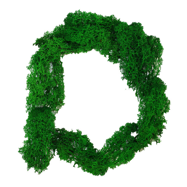D betű az angol ábécé készült zöld stabilizált moha, elszigetelt fehér alapon. - Fotó, kép