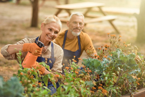 uśmiechnięta biała para w średnim wieku pracująca w ogrodzie - Zdjęcie, obraz