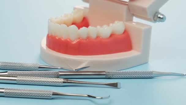 plastic model van de kaak met witte tanden en diverse tandheelkundige instrumenten voor het werk van de arts in de mondholte, blauwe achtergrond, camerabeweging van rechts naar links - Video