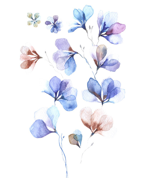 beautiful flower isolated on white background - Фото, изображение