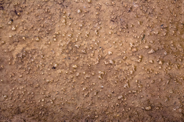 Frozen texture of a mud puddle for brown background - Photo, Image