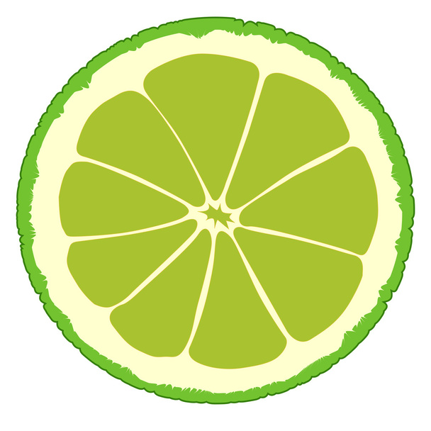 Lime Slice - Vektör, Görsel