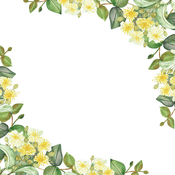 Watercolor hand painted nature squared border frame with yellow lime blossom flowers and green eucalyptus leaves on branch bouquet on the white background for invite and greeting card - Foto, afbeelding
