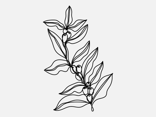 arbre à café branche ligne continue dessin vectoriel. Isolé sur fond blanc. - Vecteur, image
