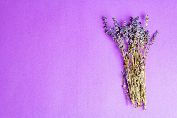 Ein Bündel getrockneter Lavendelblüten auf fliederfarbenem Hintergrund. Duftende Blumen, unverzichtbare Zutat, Textspiel, flache Lage - Foto, Bild