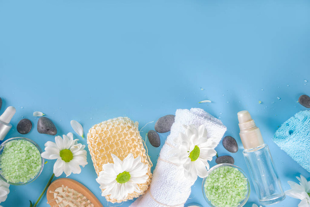 Spa element collection. Beauty and spa tools, cosmetics background with organic ingredients,  skincare products and white daisy flowers copy space - Photo, Image