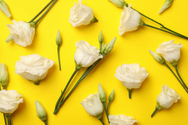 黄色の背景に美しい白いバラとフラットレイアウト - 写真・画像