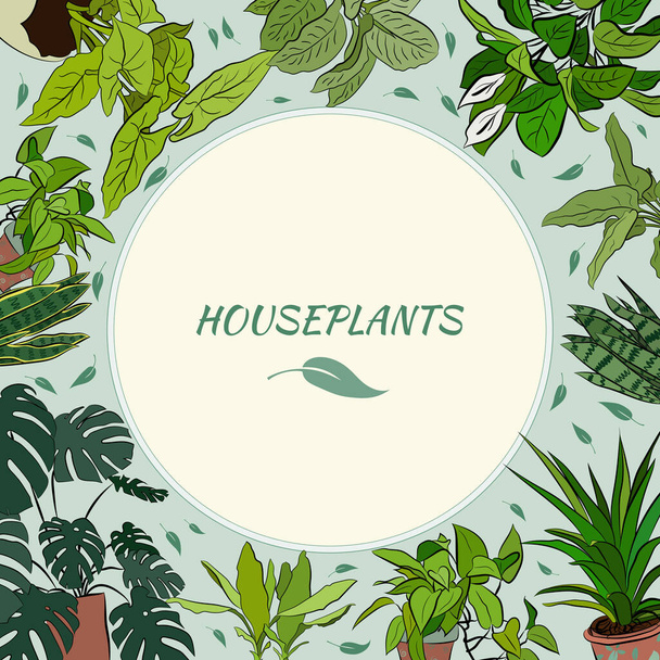 Set of hand drawn house plants in pots. Big set cute of hand drawn house plants in pots including cactus, dracena, aloe and others, and garden tools. Vector collection of doodle plants. - ベクター画像
