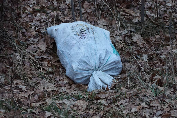 jedna duża biała torba ze śmieciami leży na suchej szarej trawie i opadłych liściach w przyrodzie - Zdjęcie, obraz