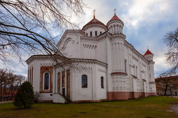 Prechistensky Cathedral in Vilnius (Lithuania) - 写真・画像