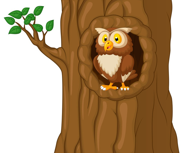 ağaçta baykuş - Vektör, Görsel