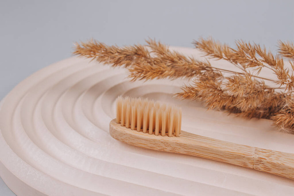 Natural bamboo toothbrush and dried flowers on biege plaster mold against gray background with copy space. Sustainable lifestyle, zero waste home. Selective focus - Photo, Image