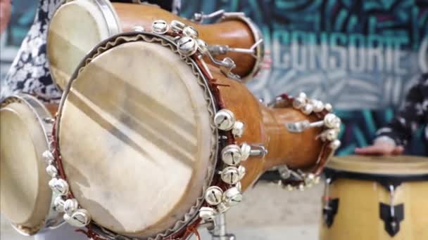 Percussionistin spielt eine Fledermaustrommel. Nahaufnahme ihrer Hände. - Filmmaterial, Video