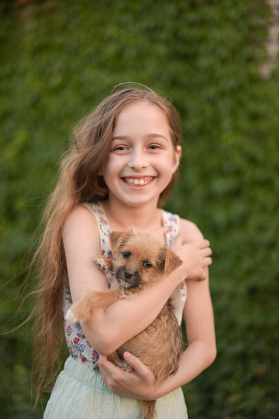 A little blond girl with her pet dog outdooors in park. The girl loves a little puppy. A dog - Foto, Imagem