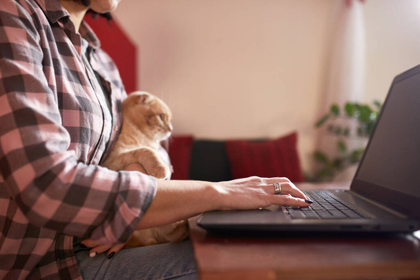 Γυναίκα φορούν άνετο στυλ εργάζεται σε ένα μαύρο σημειωματάριο, φορητό υπολογιστή και γάτα βρίσκεται στην αγκαλιά της, Εργασία από το σπίτι, Μείνετε στο σπίτι, καραντίνα Coronavirus, Ασκήσεις, freelance. - Φωτογραφία, εικόνα