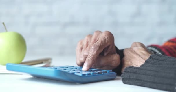 mão de mulheres idosas usando calculadora na mesa  - Filmagem, Vídeo