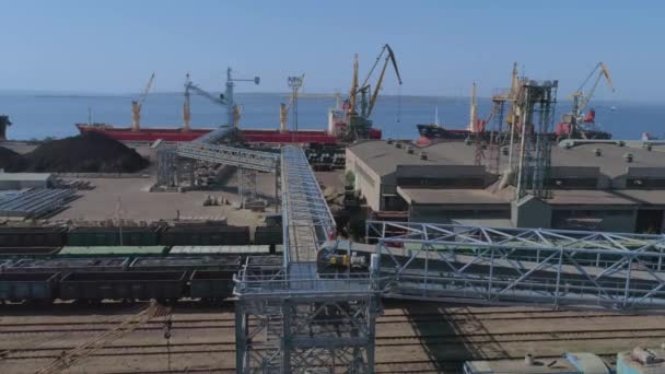 kereskedelmi hajó berakodása a kikötőben gabonával biztonsági öv segítségével - Felvétel, videó