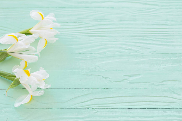white irises on green wooden background - Foto, Imagem