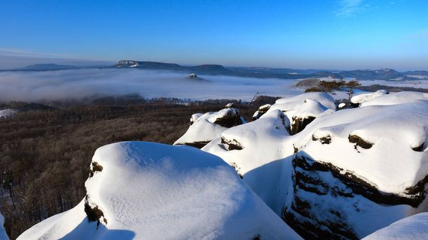 凍る霧の上に輝くジルケルシュタイン。寒い勝者の朝の眺め。樹皮甲虫災害の乾燥トウヒの森。ドイツ、ザクセン・スイスのロック・ジルケルシュタイン - 写真・画像