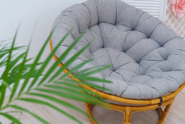 Close-up comfortable cozy rattan wicker chair standing against a backdrop palm tree areca stands on floor against a white wall. A houseplant in the home interior of a room in the style of minimalism. - 写真・画像