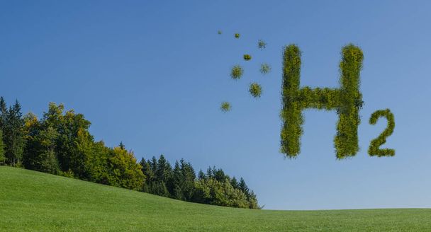 Buchstaben mit grünen Blättern Wasserstoff h2 auf einer hügeligen grünen Wiese in der Natur - Foto, Bild