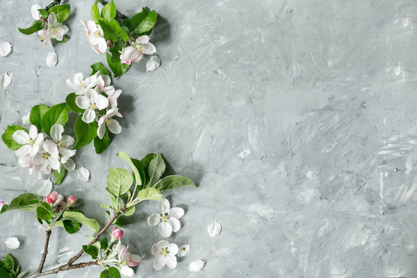 Flowers composition. Apple tree flowers on pastel gray background. Spring concept. Flat lay, top view, copy space - Fotografie, Obrázek
