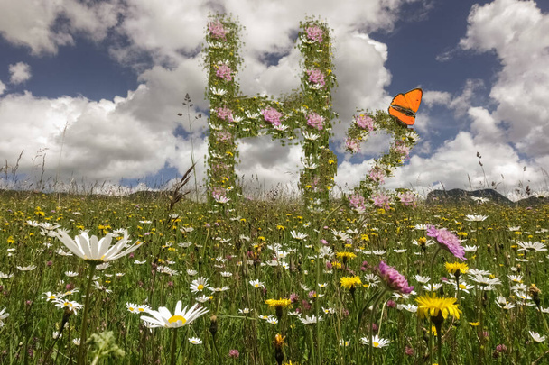 Wasserstoff h2 Buchstaben auf einer Wiese mit Blumen und einem orangen Schmetterling in der Natur - Foto, Bild