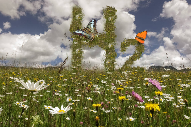 hidrógeno h2 letras en un prado con flores y dos mariposas en la naturaleza - Foto, imagen