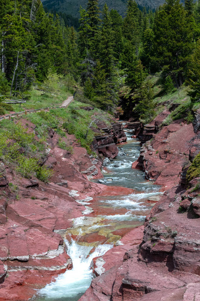 Stream flowing over rocks in remote location of Glacier National Park, Montana USA. Vertical Photograph  - Photo, Image