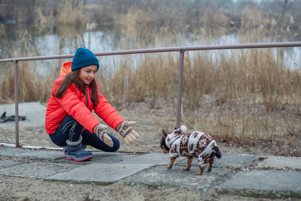 Girl 10 years old. TTeenager girl in orange jacket, hat and scarf. Girl and chihuahua. Dog - Photo, Image