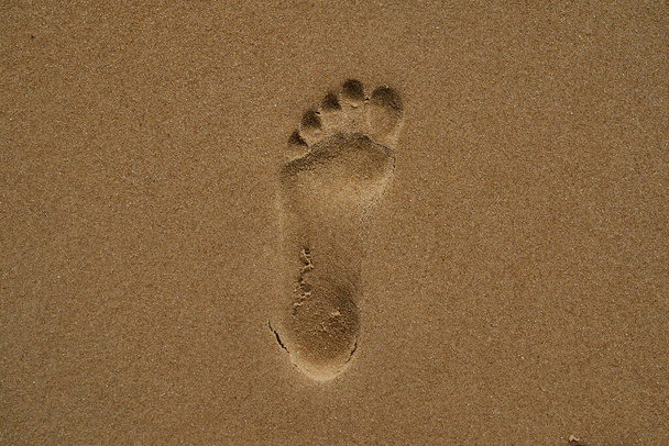 footprint in the sand of a beach along the shore of the atlantic ocean on a sunny day - Photo, Image