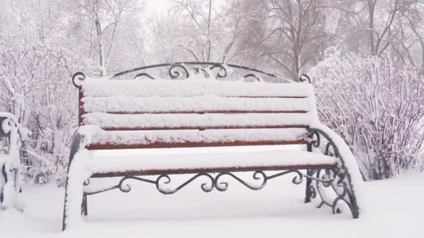 zimowy park miejski, ławki pokryte śniegiem i opadami śniegu - Materiał filmowy, wideo