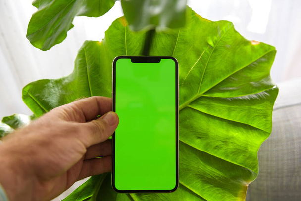 Αρσενικό χέρι κρατώντας νέο smartphone τηλέφωνο με πράσινη οθόνη και όμορφα φύλλα φυτών στο παρασκήνιο - Φωτογραφία, εικόνα