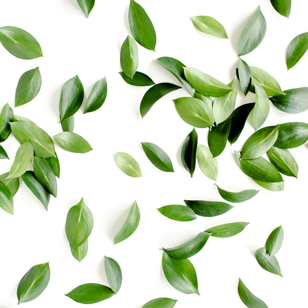 Pattern, texture with green leaves isolated on white background. lay flat, top view - Foto, Bild