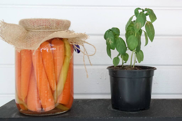 Glazen pot met wortels en bloempot op de houten plank - Foto, afbeelding