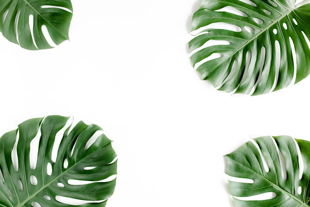 Tropical palm leaves Monstera on white background. Flat lay, top view. - Foto, immagini