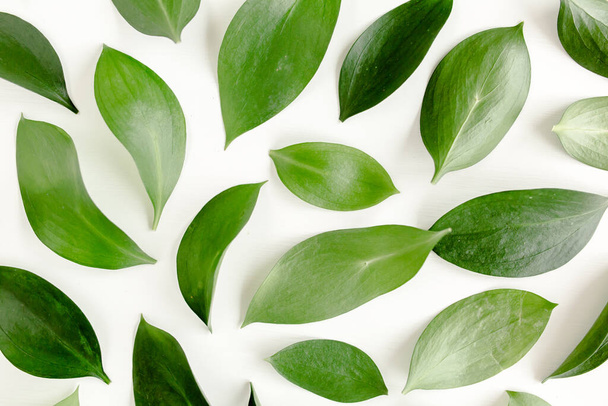 Pattern, texture with green leaves isolated on white background. lay flat, top view - Foto, imagen