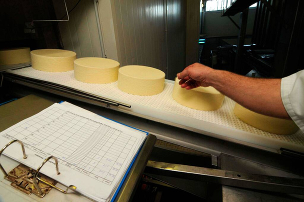 fabrico de queijo e transformação de queijo na produção alimentar industrial - Foto, Imagem