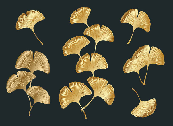 Ginkgo or Gingko Biloba golden leaves set. Nature botanical gold vector illustration, decorative metal graphic isolated over black. - Vektori, kuva