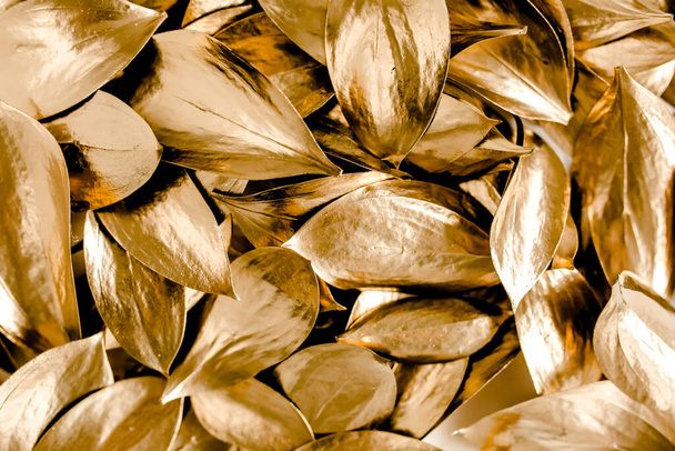 Pattern, texture with gold leaves isolated on white background. flat lay, top view - Foto, afbeelding
