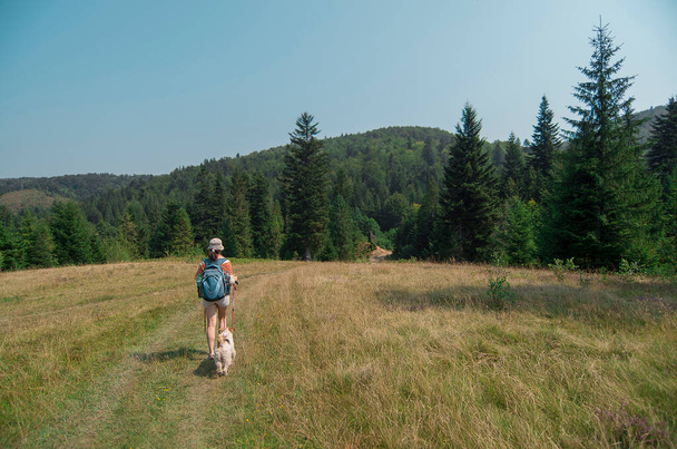 Genç bir kadın, yanında bir köpekle ormana doğru yürüyor. Yaz mevsiminde Kuzey yürüyüşü. Turizm tatili aktiviteleri, sırt çantaları, açık hava. 17 Kasım 'da Ulusal Yürüyüş Günü - Fotoğraf, Görsel