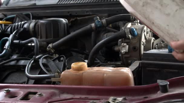 Coolant Poured Into Engine Cooling System Footage. - Footage, Video