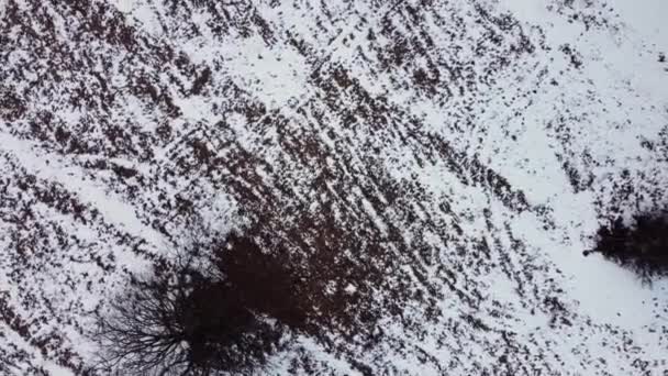 Campo arado coberto de neve no inverno. desenhos abstratos. Vista aérea da terra arável. - Filmagem, Vídeo