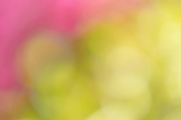blurry natural background with shallow focus and bokeh, wallpaper or backdrop use. Spring background. Spring Backdrop. Natural background, Natural wallpaper. Spring wallpaper - Photo, Image