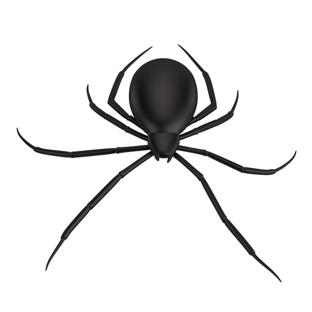 örümcek gerçekçi 3d render - Fotoğraf, Görsel