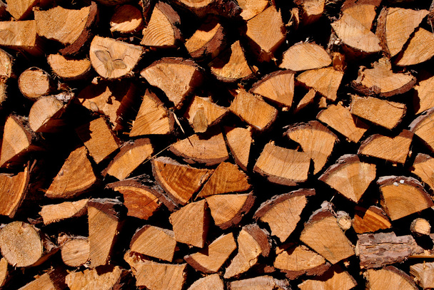 Firewood larch - Photo, Image