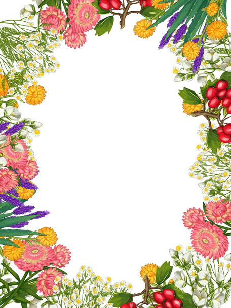 Hand drawn medicinal plant frame. Healing herbs border. isolated on white background - 写真・画像